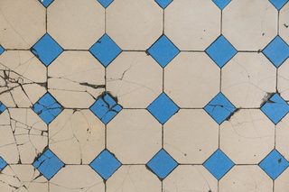 Mosaïque bleu marine tropique