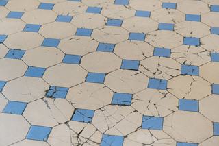 Mosaïque bleu violet tropique