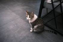 Carrelage gris fonce : carrelage guide et achat en ligne