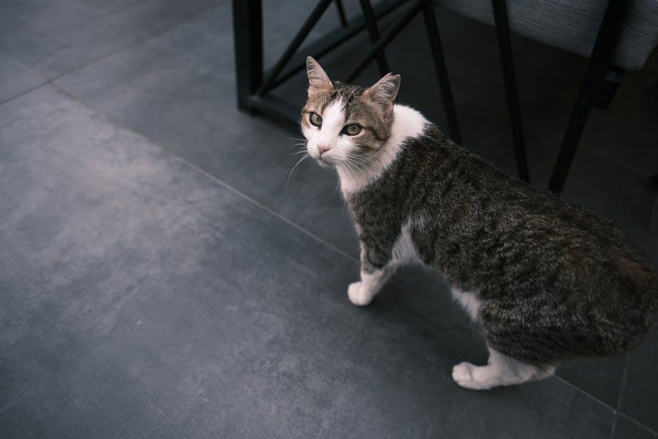 Calita gris : achat et conseils | Rue du Carrelage