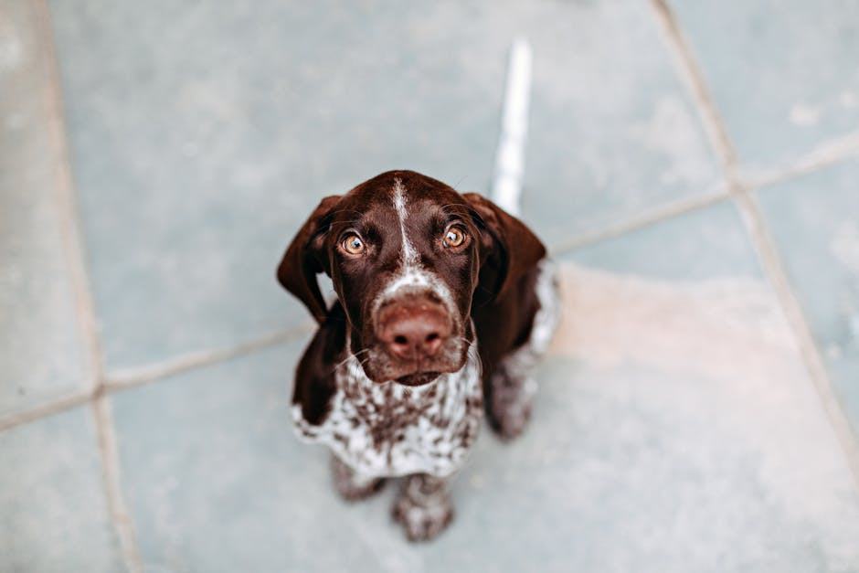 Guide mosaique pâte de verre marron craquelée | Rue du Carrelage