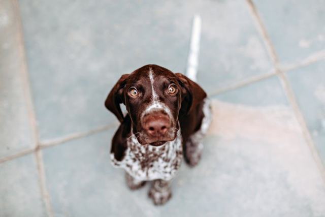 Mosaique mosaique pate verre marron : carrelage Rue du Carrelage