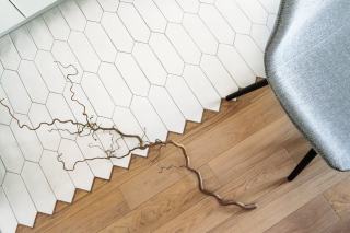 Carrelage Cisub brillant 30x60