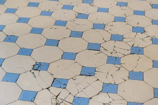 Mosaïque bleu violet tropique